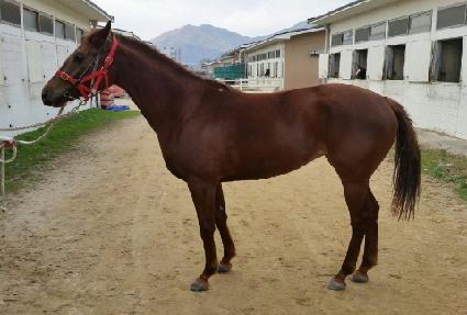 �����ǿ뱤�� ����