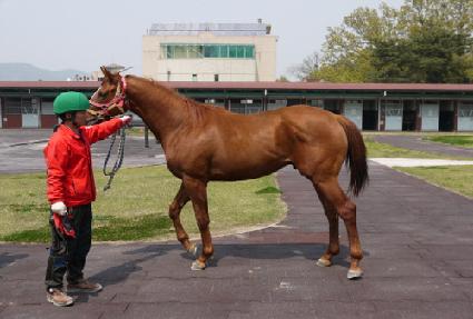 ���� ����