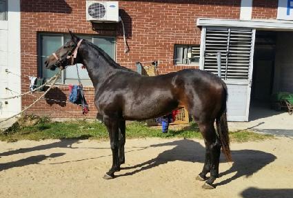 ��ũ�������� ����