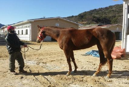 Ȳ�ݺ������ ����