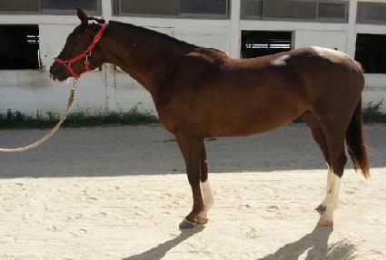 ��Ŀ��� ����