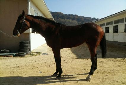 û�������� ����