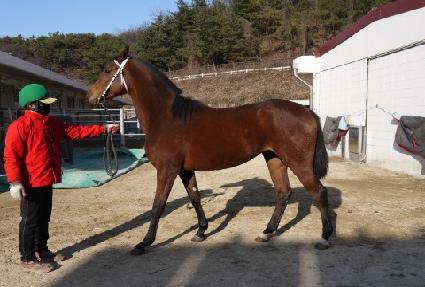 ������ ����