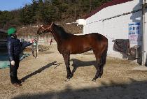 ���̾ƹ��� (DIA BANJI) ����