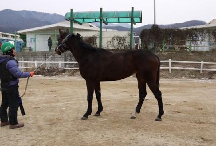 Ư����Ŀ ����