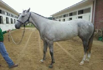 ������ ����