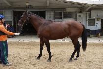 ��巹��ũ (GOLD LAKE) ����