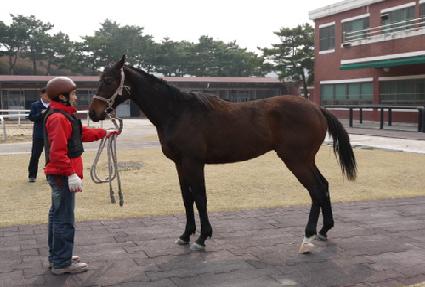 ��Ʈ�պ��� ����