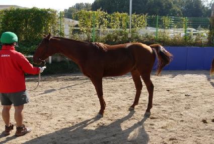 ������� ����