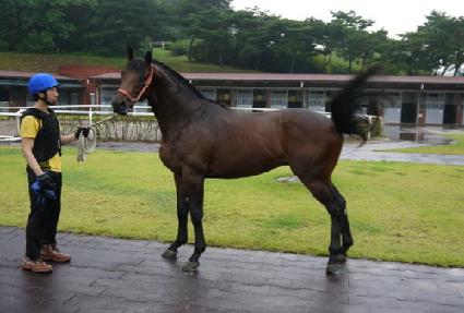 ȯ���Ǽ��� ����