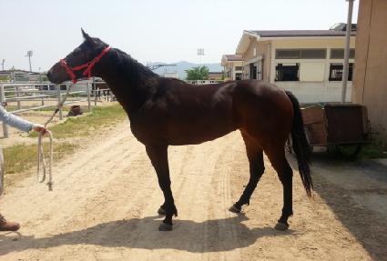 ����ó�� ����