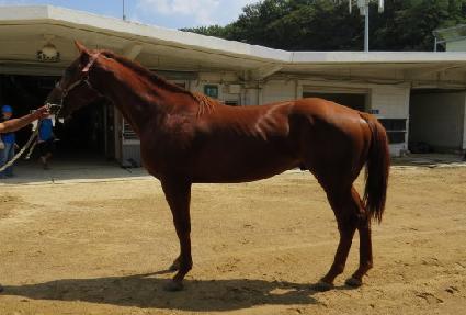 �˷��׷� ����