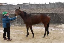 ���ϵ巹��ũ (WILD LAKE) ����