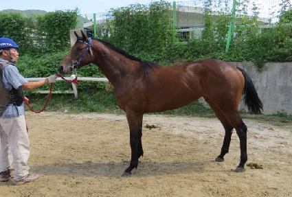 ���������ϸ� ����