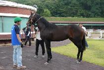 ŷũ��Ĺ (KING CREEK CAT) ����