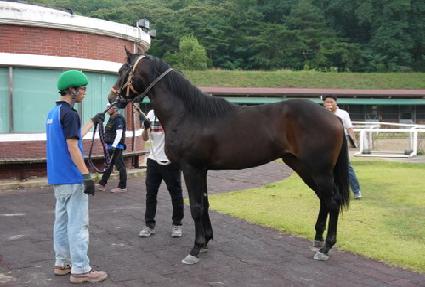 ŷũ��Ĺ ����