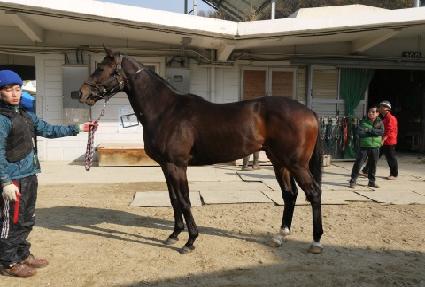 ���̴�Ʈ���� ����