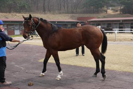 �����ڶ� ����