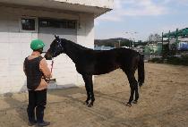 ������ (BOKDEOGI) ����