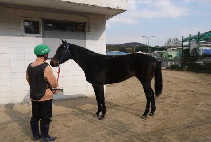 ������ ����