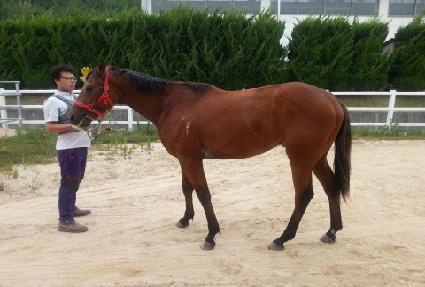 õ������ ����