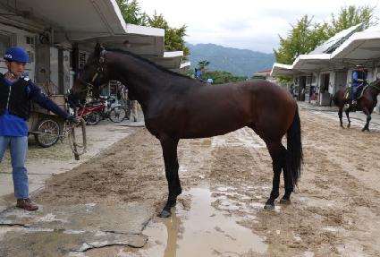 ���԰��� ����