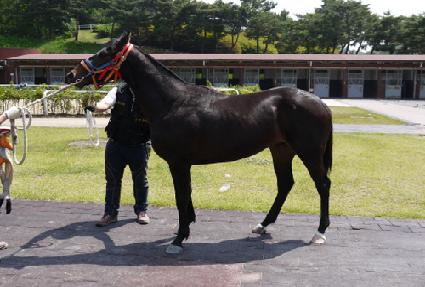 ���Ǵ� ����