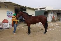 ����¡ǻó (RISING FUTURE) ����