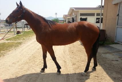 ��ſ��ħ ����