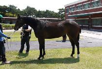 QUEEN CREEK CAT picture