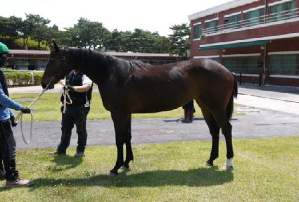 ��ũ��Ĺ ����