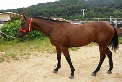 ���۽��� ����