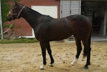 ������ ����