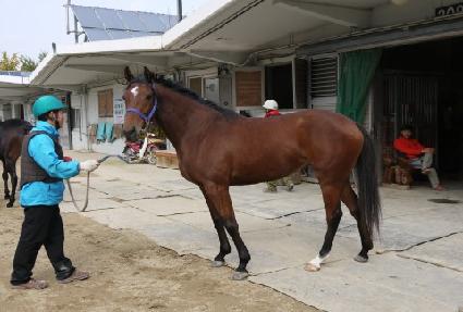 ���� ����