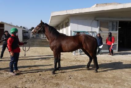 ��Ÿ���Ϻ� ����