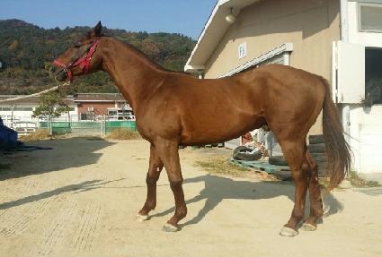 ����Ÿ ����