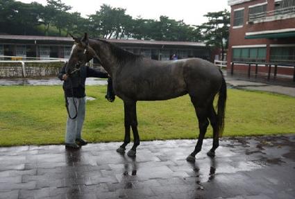 ����Ʈ�Ϸ��� ����