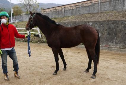 Ŀ��Ŭ ����