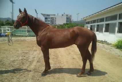 è������ ����