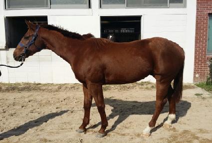 �������� ����