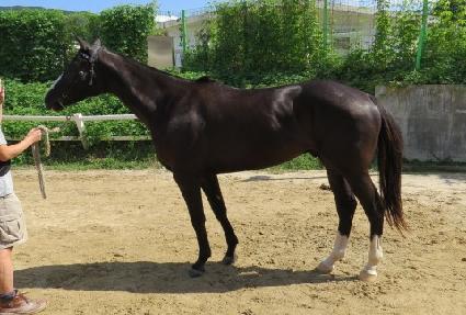 ������� ����