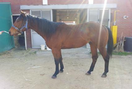 �Ŀ�è�� ����