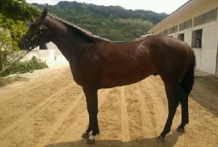 ���ƿ���ǥ ����