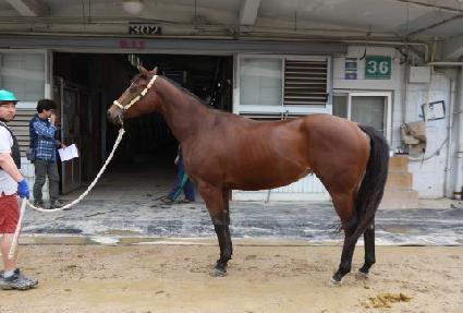 �׸��� ����