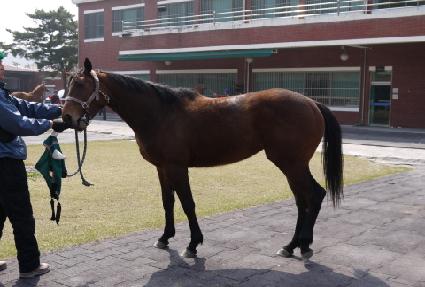 �帲�� ����