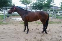 ���õ�� (USEUNG CHEONJI) ����