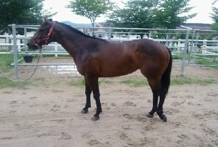 ���õ�� ����