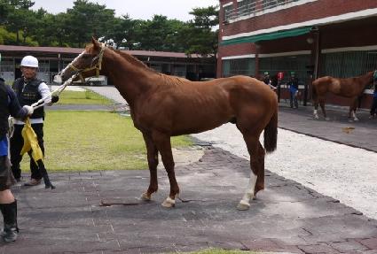 ��������� ����