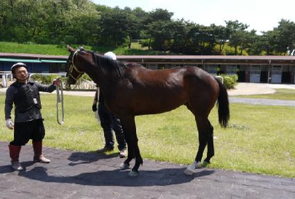 �¸����� ����