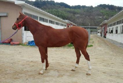 õ�ǹ��� ����